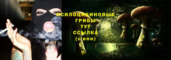 спиды Кодинск