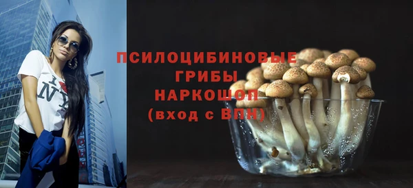 спиды Кодинск